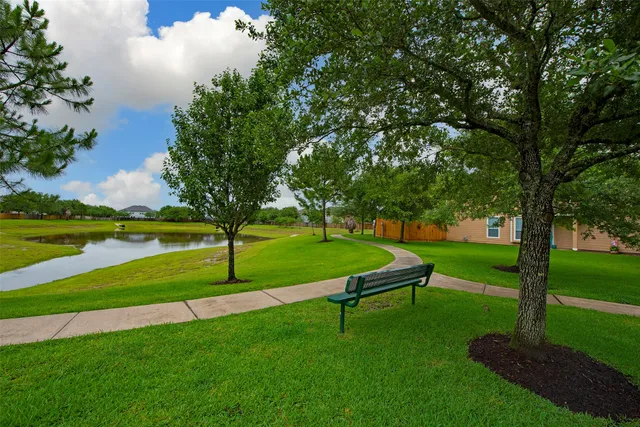 a view of a park with large trees