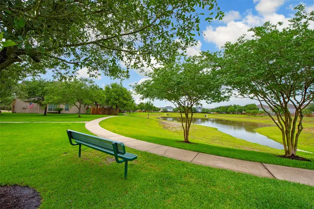 a view of a park with large trees