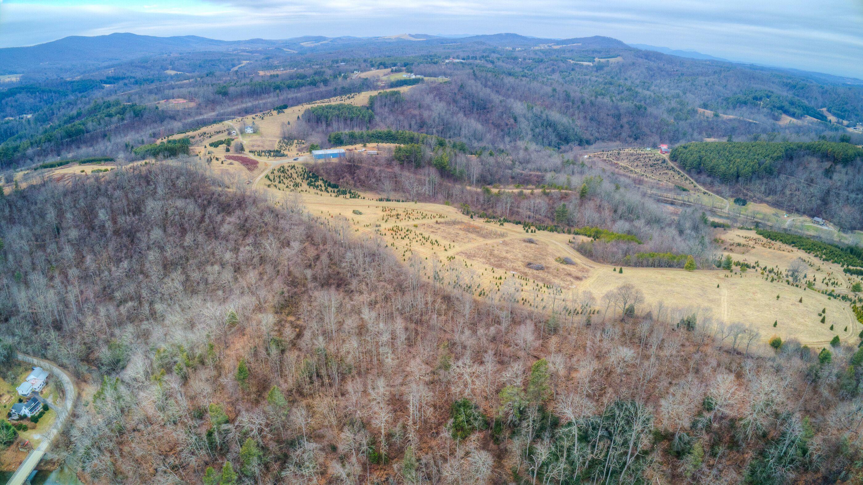 2865 Webbs Mill Road North Floyd, VA 24091 - Photo 13 of 64 12