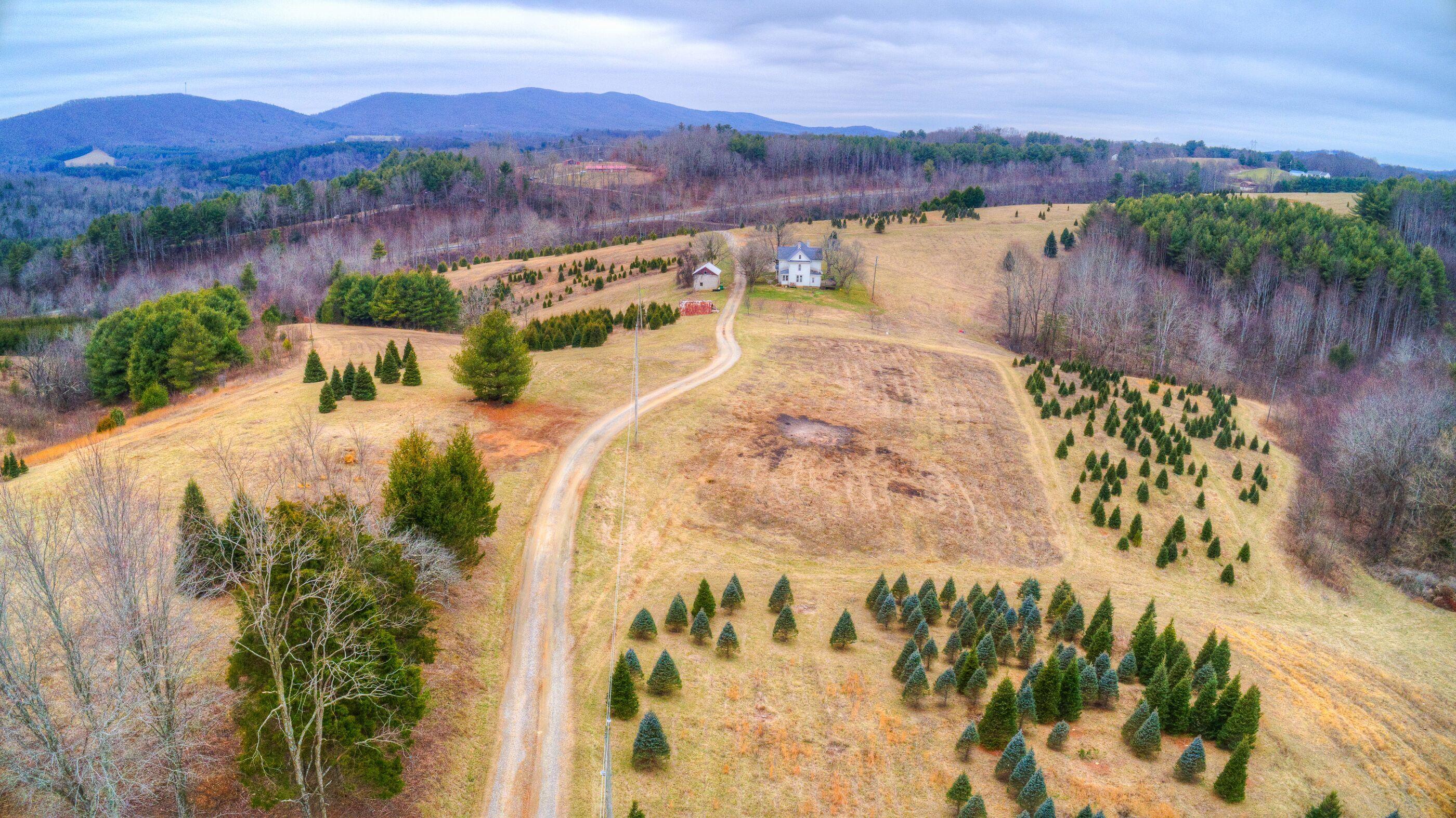 2865 Webbs Mill Road North Floyd, VA 24091 - Photo 3 of 64 1