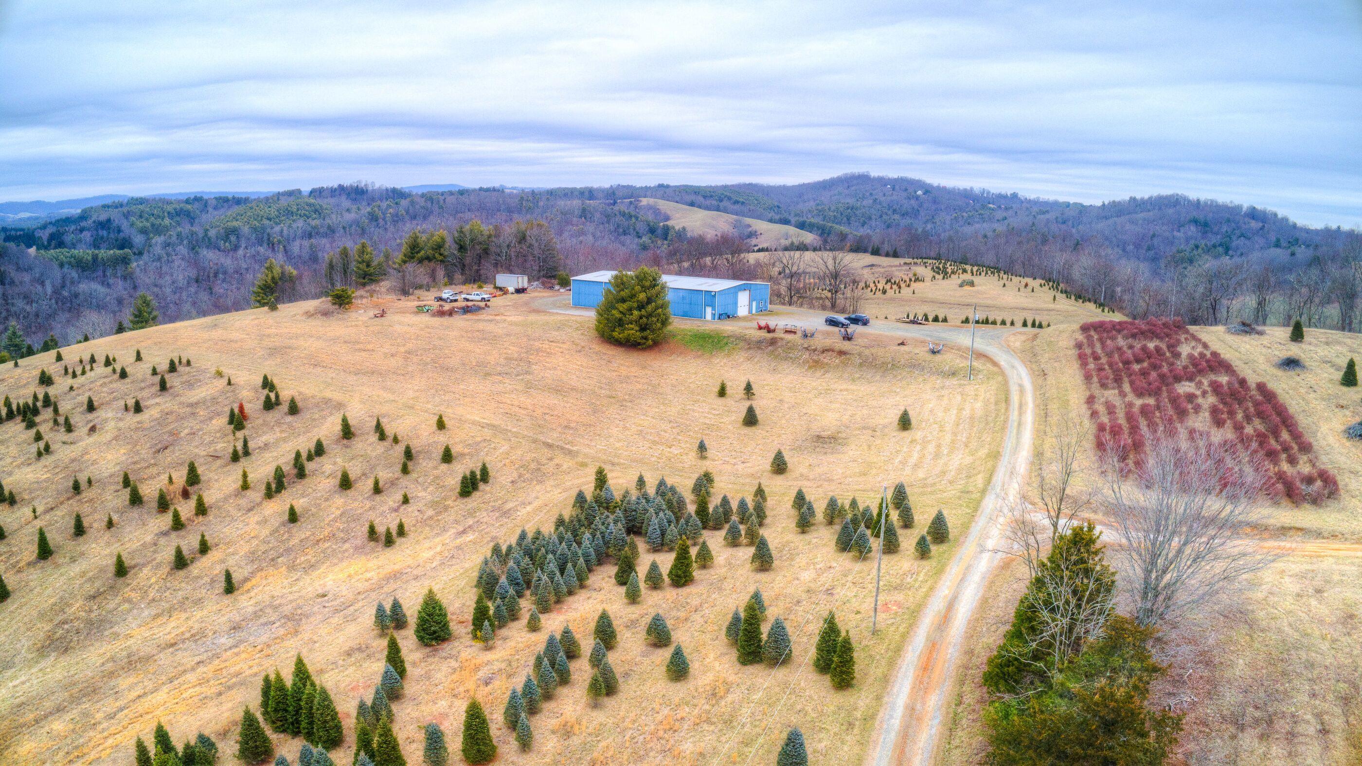 2865 Webbs Mill Road North Floyd, VA 24091 - Photo 4 of 64 3