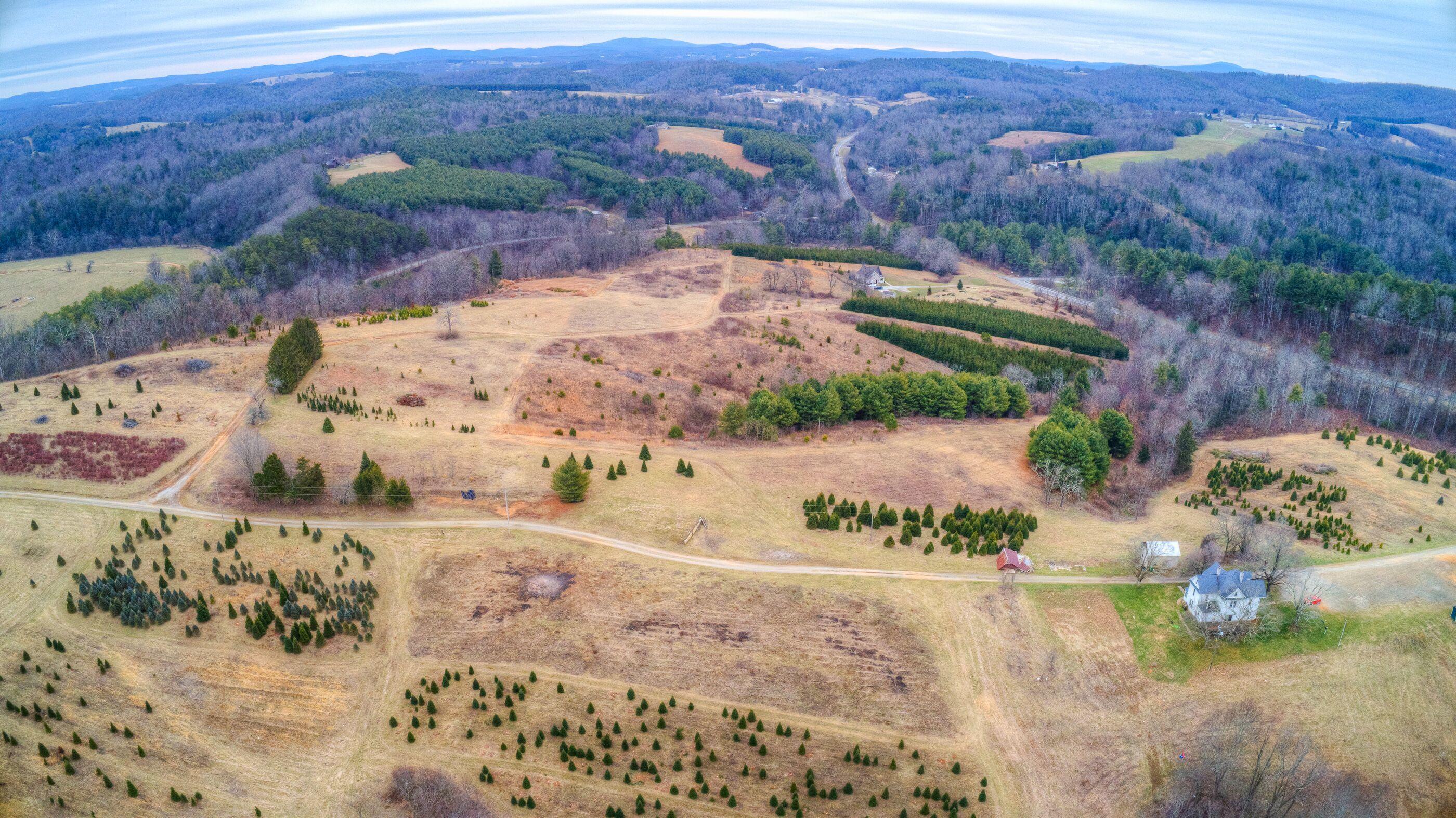 2865 Webbs Mill Road North Floyd, VA 24091 - Photo 5 of 64 4