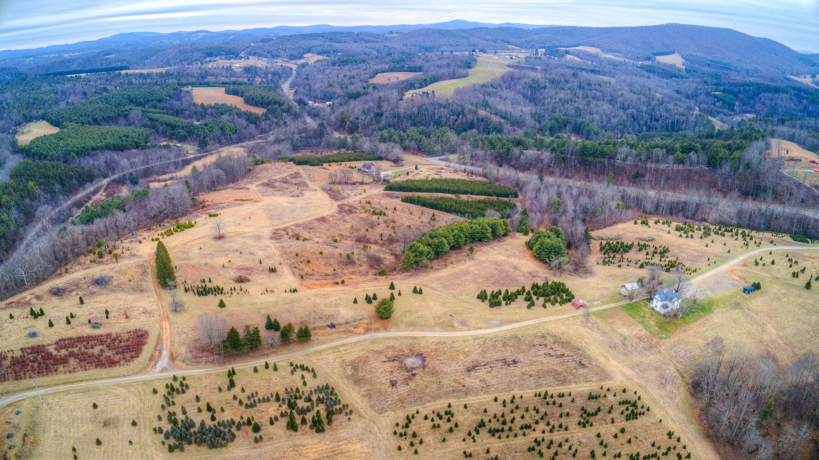 2865 Webbs Mill Road North Floyd, VA 24091 - Photo 6 of 64 5