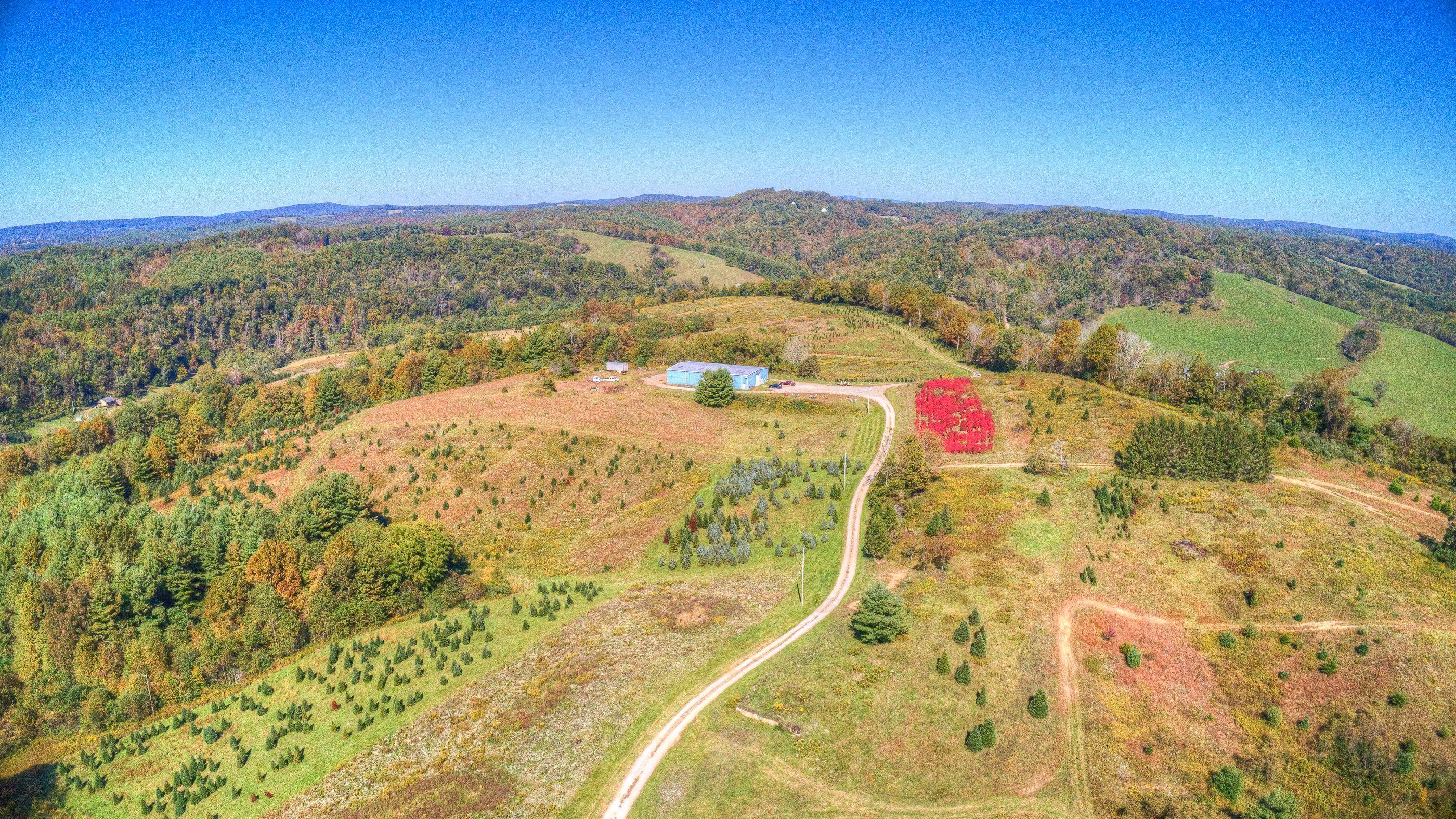 2865 Webbs Mill Road North Floyd, VA 24091 - Photo 53 of 64 land 2
