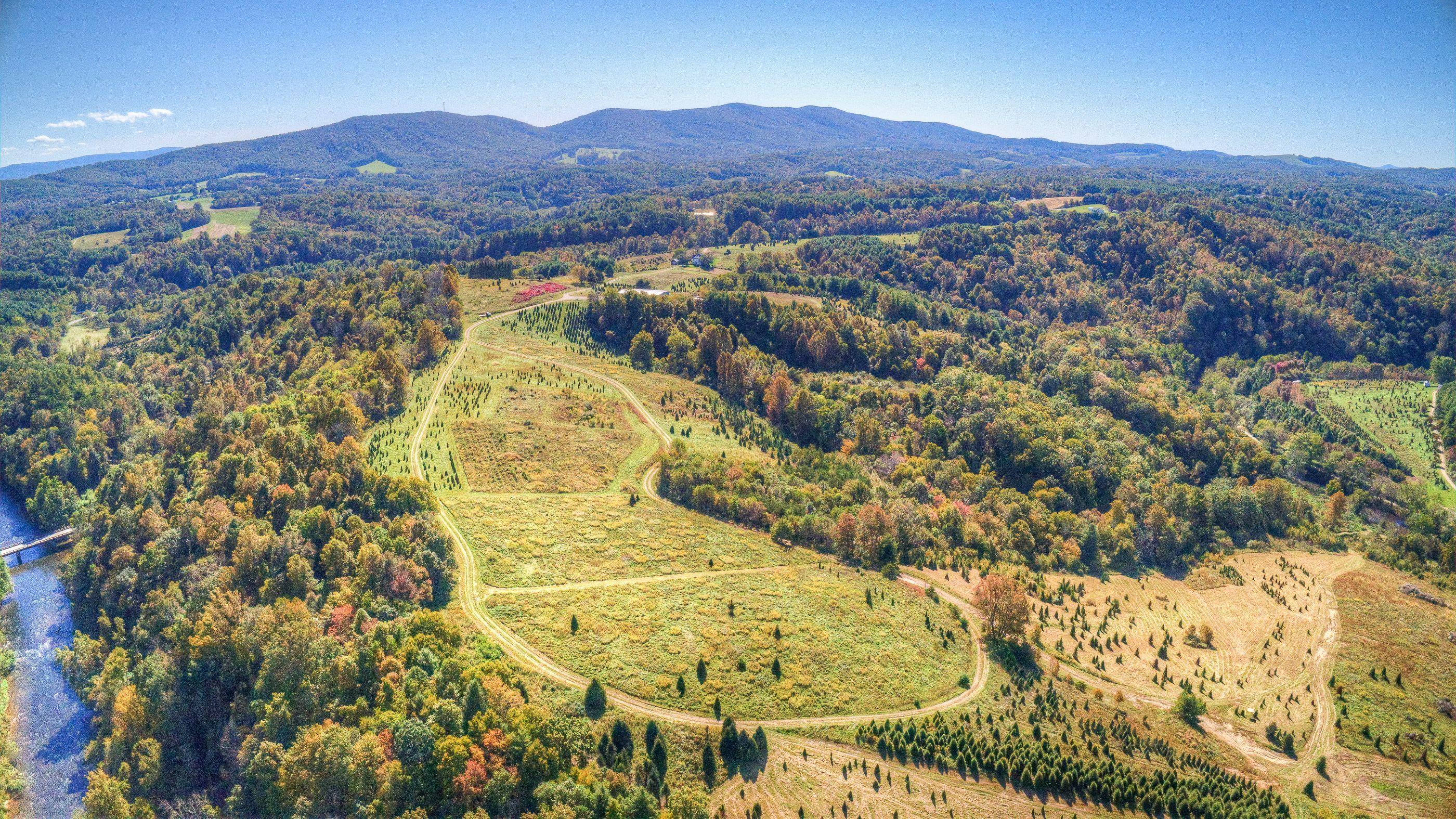 2865 Webbs Mill Road North Floyd, VA 24091 - Photo 54 of 64 land 3