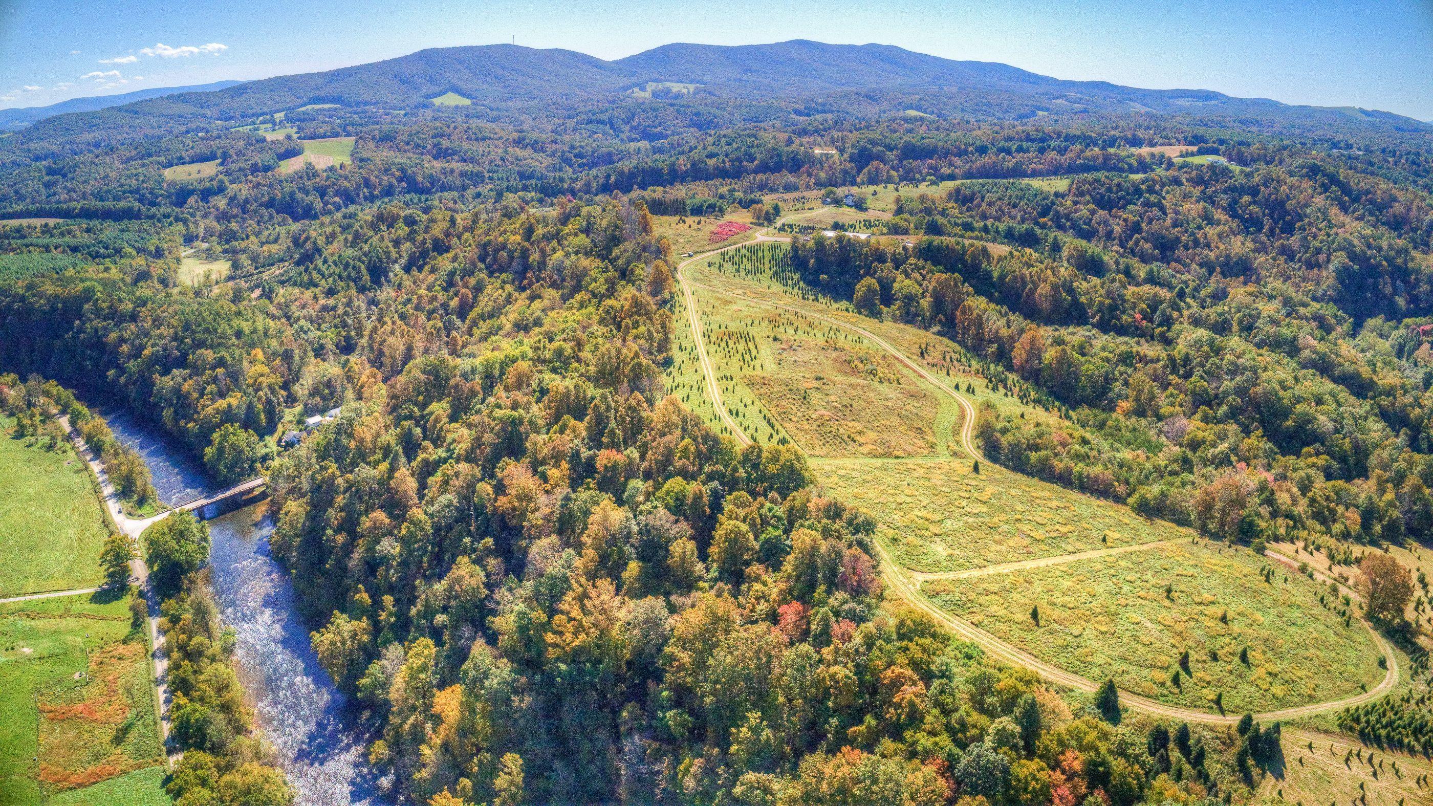 2865 Webbs Mill Road North Floyd, VA 24091 - Photo 55 of 64 land 4