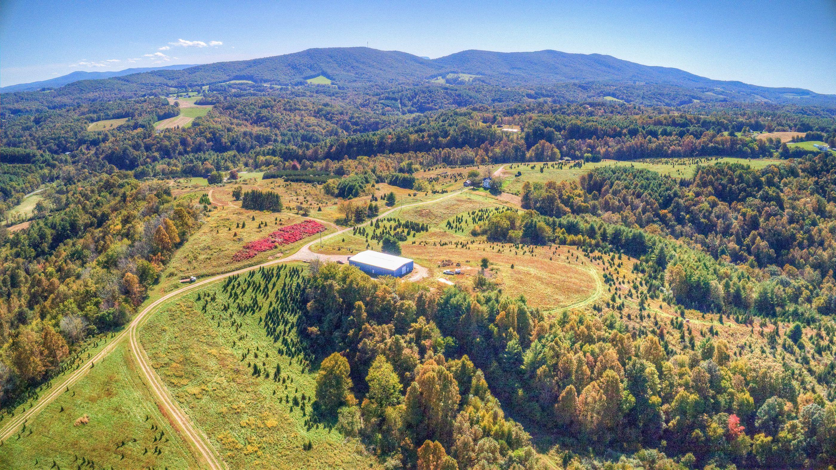 2865 Webbs Mill Road North Floyd, VA 24091 - Photo 56 of 64 land 5