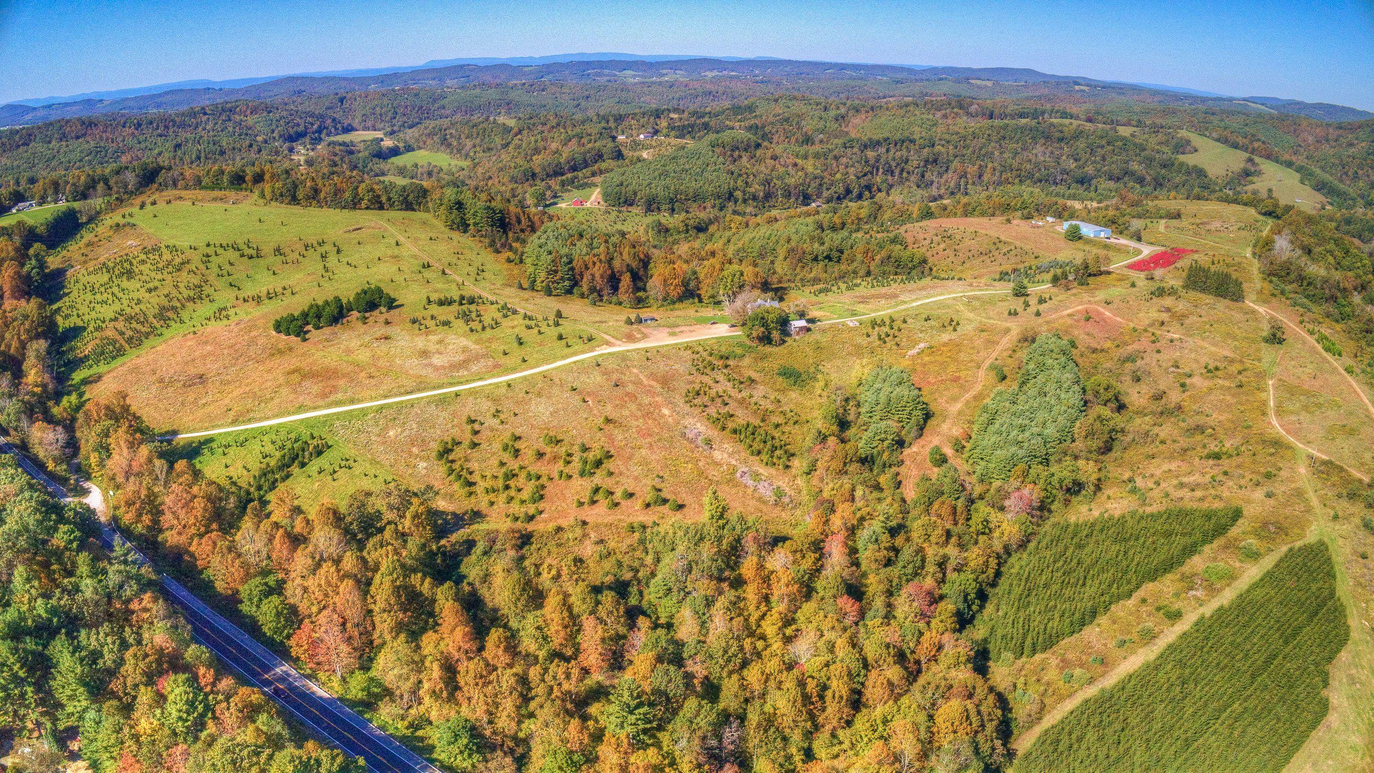 2865 Webbs Mill Road North Floyd, VA 24091 - Photo 59 of 64 land 8
