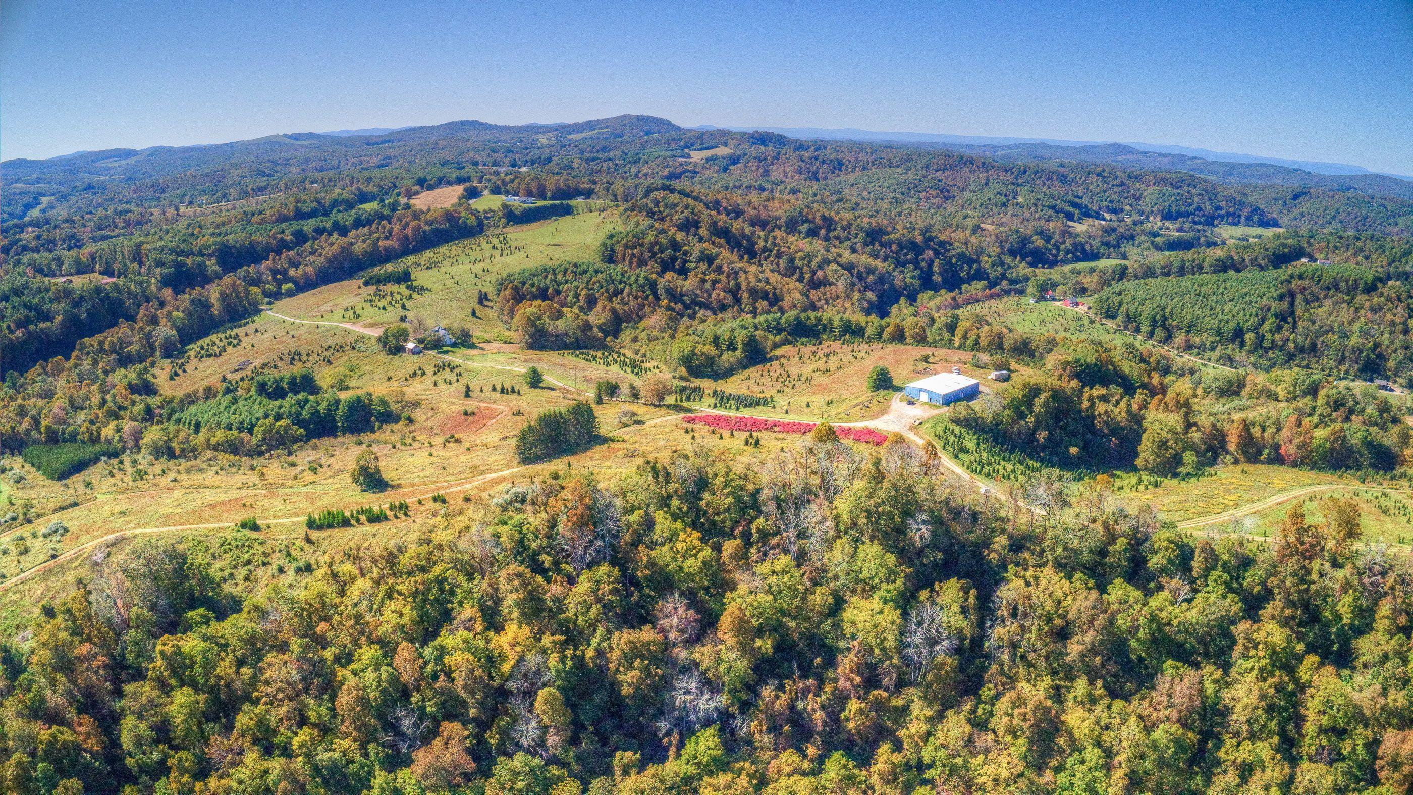 2865 Webbs Mill Road North Floyd, VA 24091 - Photo 61 of 64 land 12