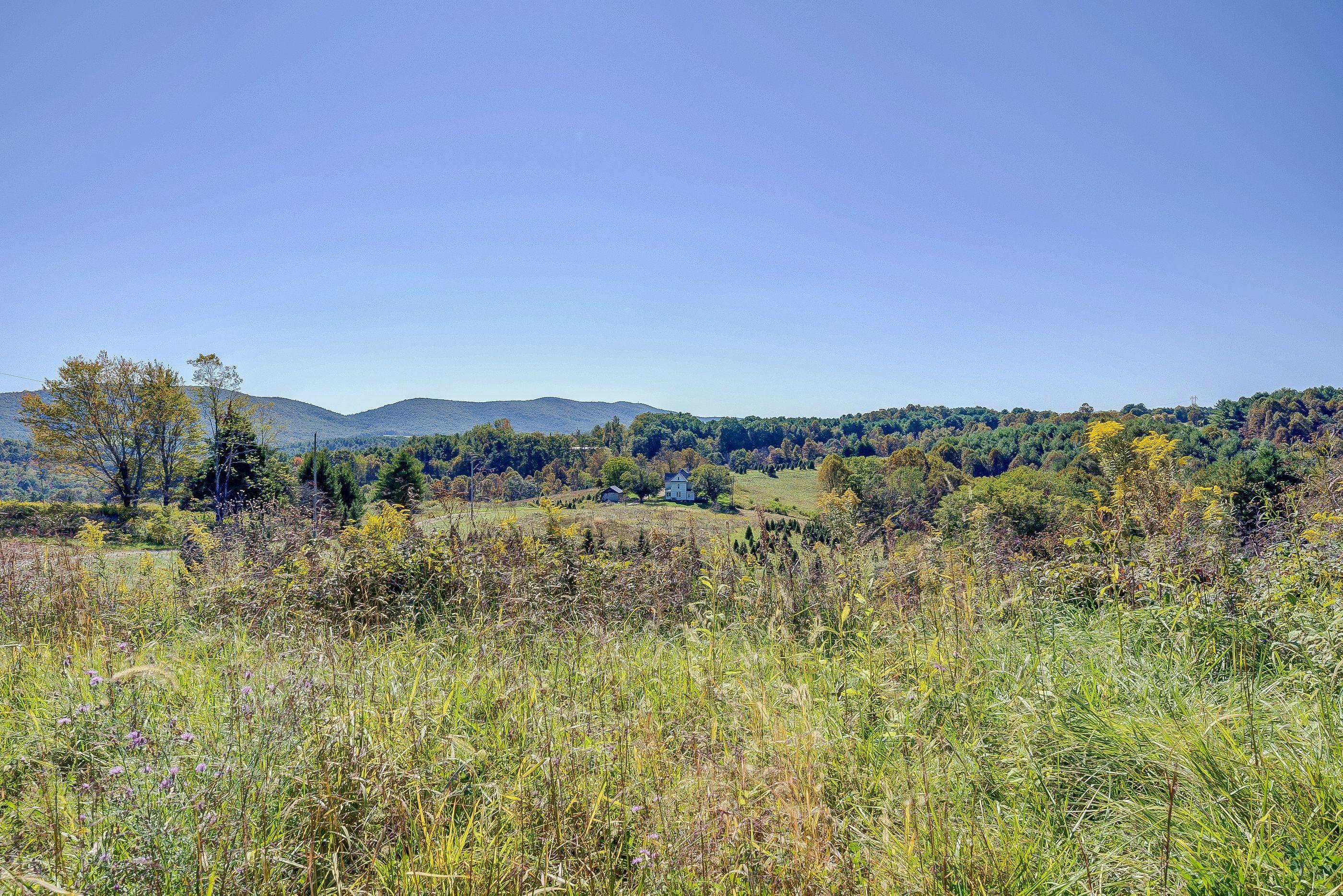 2865 Webbs Mill Road North Floyd, VA 24091 - Photo 62 of 64 land