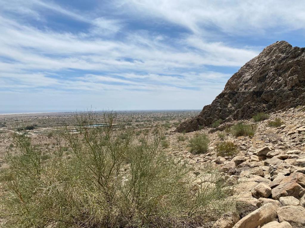 0 Coolidge Springs Road Salton City, CA 92275 - Photo 26 of 62 thumbnail (38)