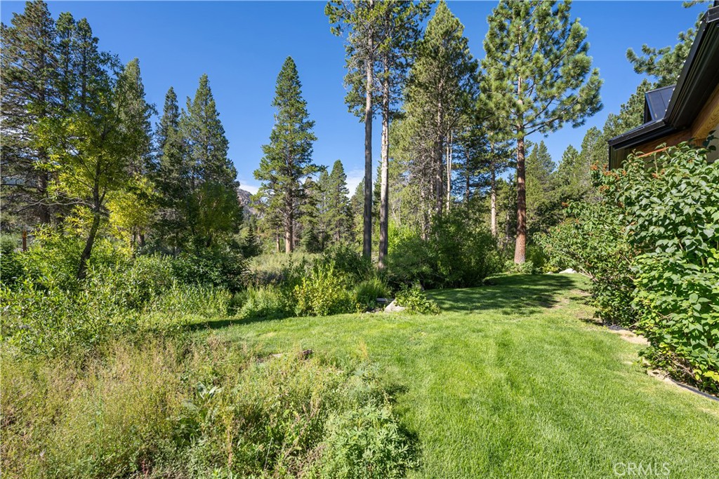 595 Waterford Avenue Mammoth Lakes, CA 93546 - Photo 34 of 48
