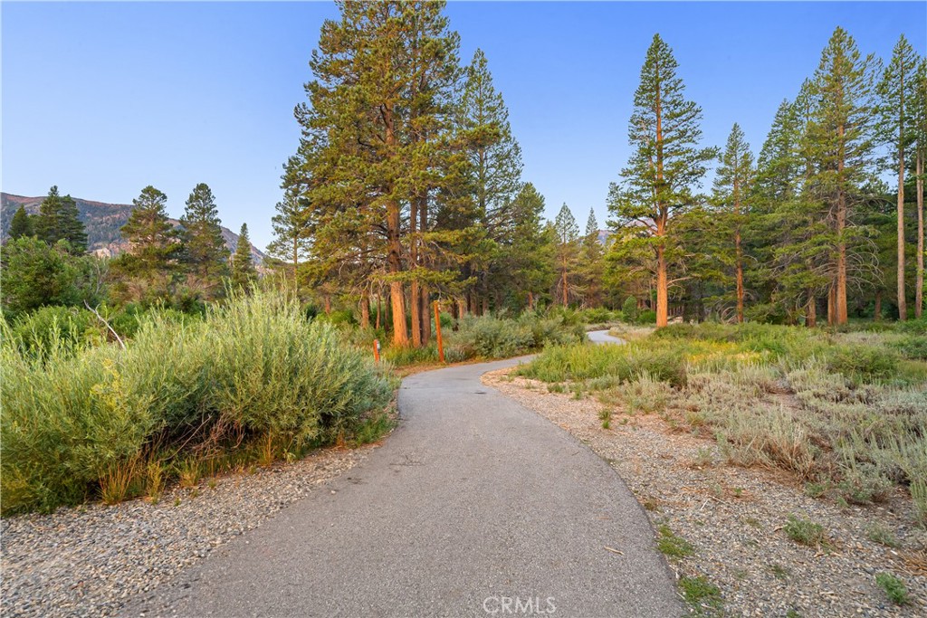 595 Waterford Avenue Mammoth Lakes, CA 93546 - Photo 43 of 48