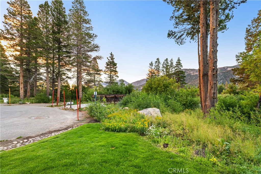 595 Waterford Avenue Mammoth Lakes, CA 93546 - Photo 45 of 48