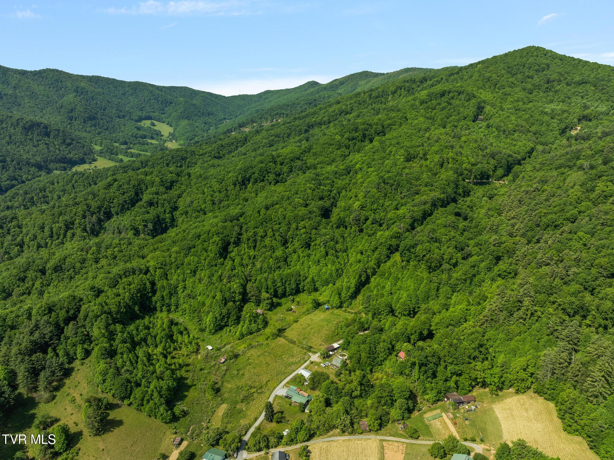685 Tipton Branch Road Flag Pond, TN 37657 - Photo 16 of 16 DJI_0968