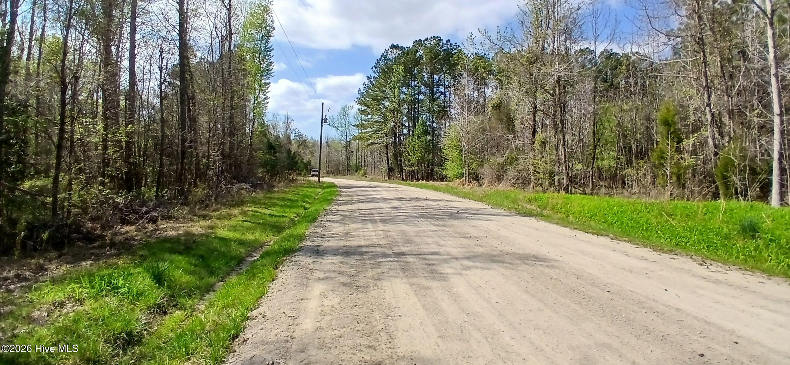 D07-3 Wood Landing Road Grantsboro, NC 28529 - Photo 2 of 6 Road Frontage along SR 1112