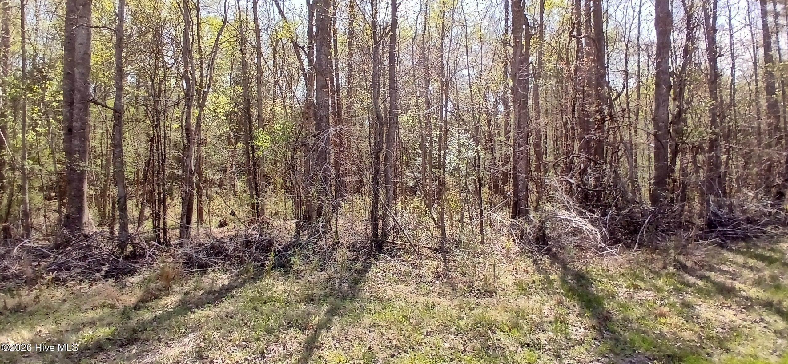 D07-3 Wood Landing Road Grantsboro, NC 28529 - Photo 4 of 6 View from Rd.