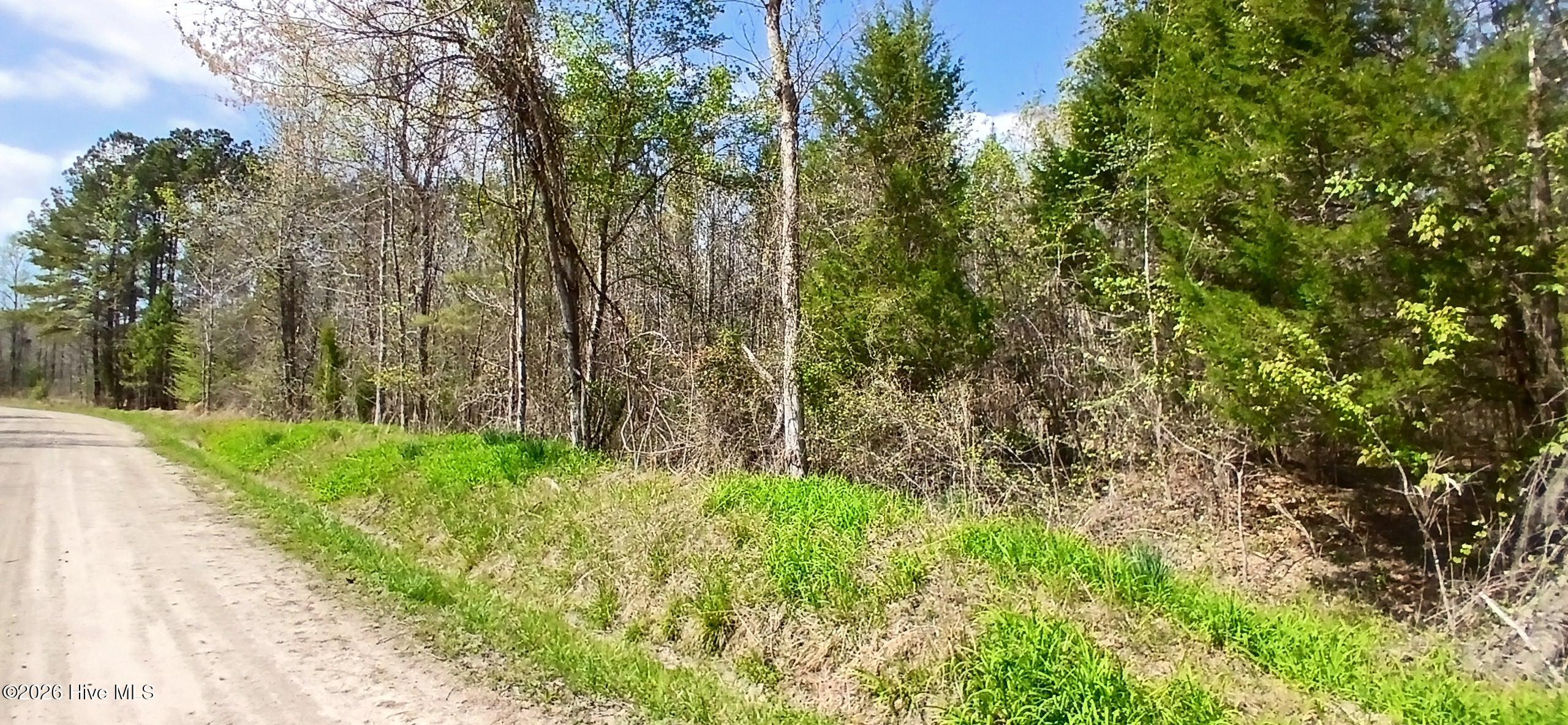 D07-3 Wood Landing Road Grantsboro, NC 28529 - Photo 5 of 6 Frontage from Corner of neighboring property private drive