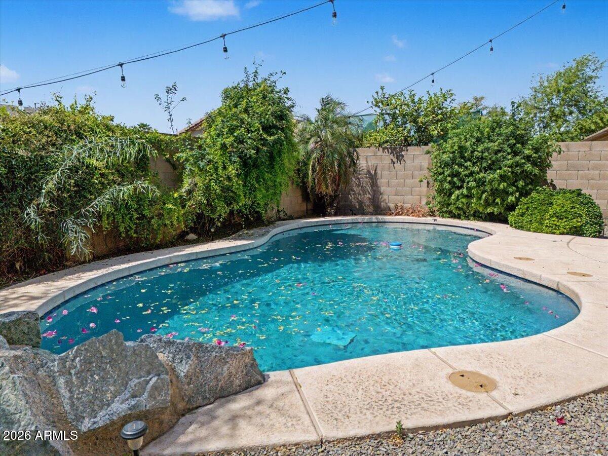 24726 North 29th Place Phoenix, AZ 85024 - Photo 25 of 31 a view of a backyard
