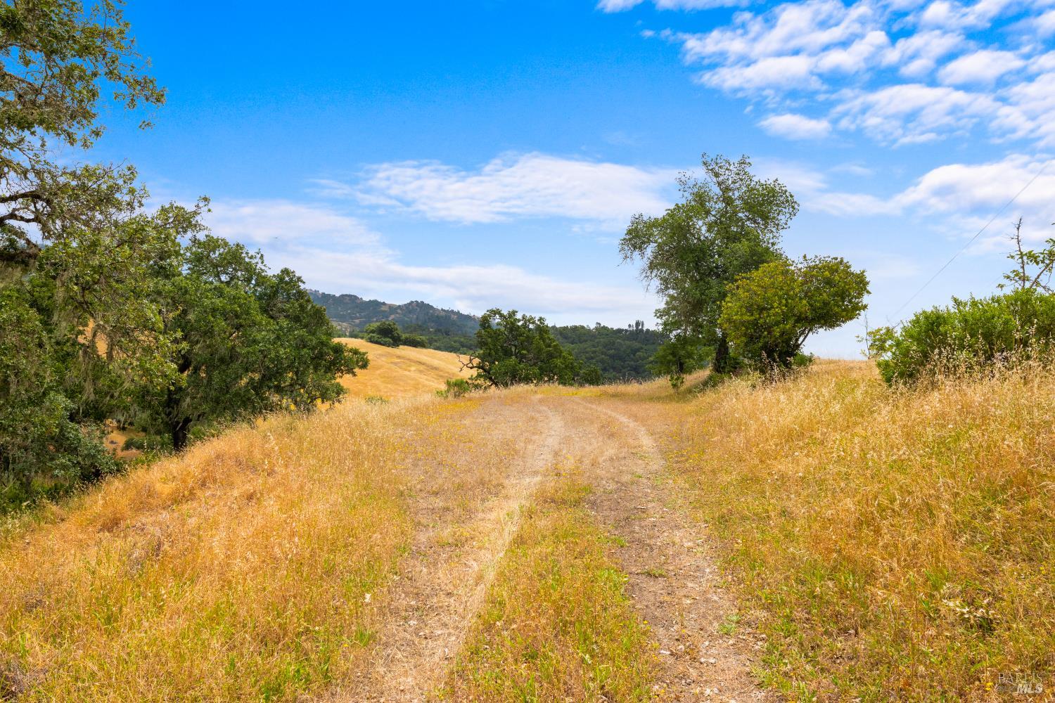 23655 Vineyard Road Geyserville, CA 95441 - Photo 14 of 38