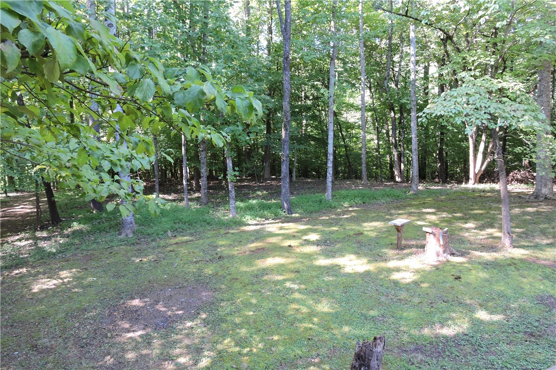 111 Hickory Trail Westminster, SC 29693 - Photo 16 of 21 Backyard