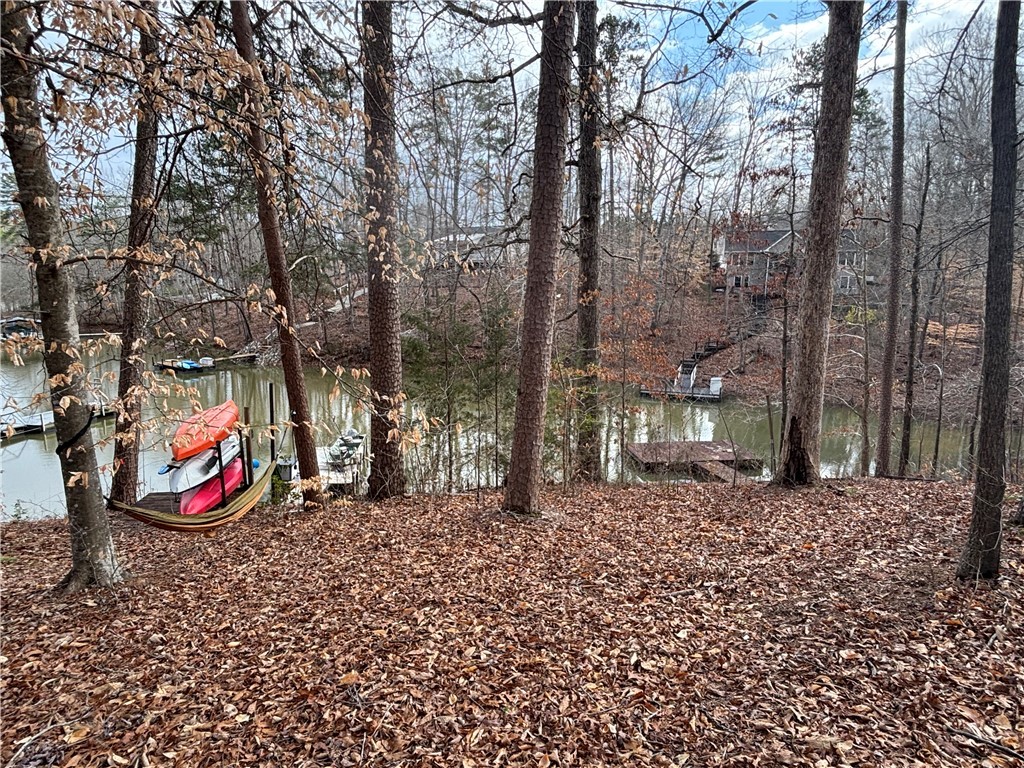 111 Hickory Trail Westminster, SC 29693 - Photo 20 of 21 Dock