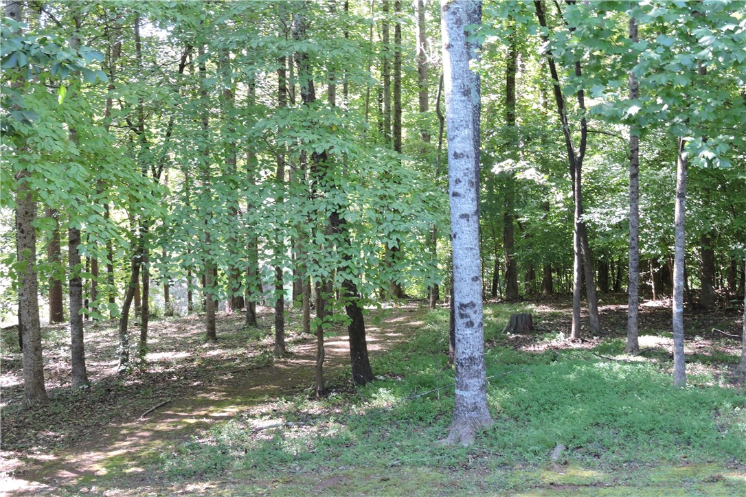 111 Hickory Trail Westminster, SC 29693 - Photo 6 of 21 Path to Lake