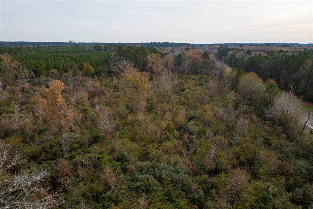 0 State Highway Nacogdoches, TX 75964 - Photo 12 of 20 a view of a forest with trees in the background