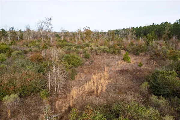 a view of a city with lush green forest