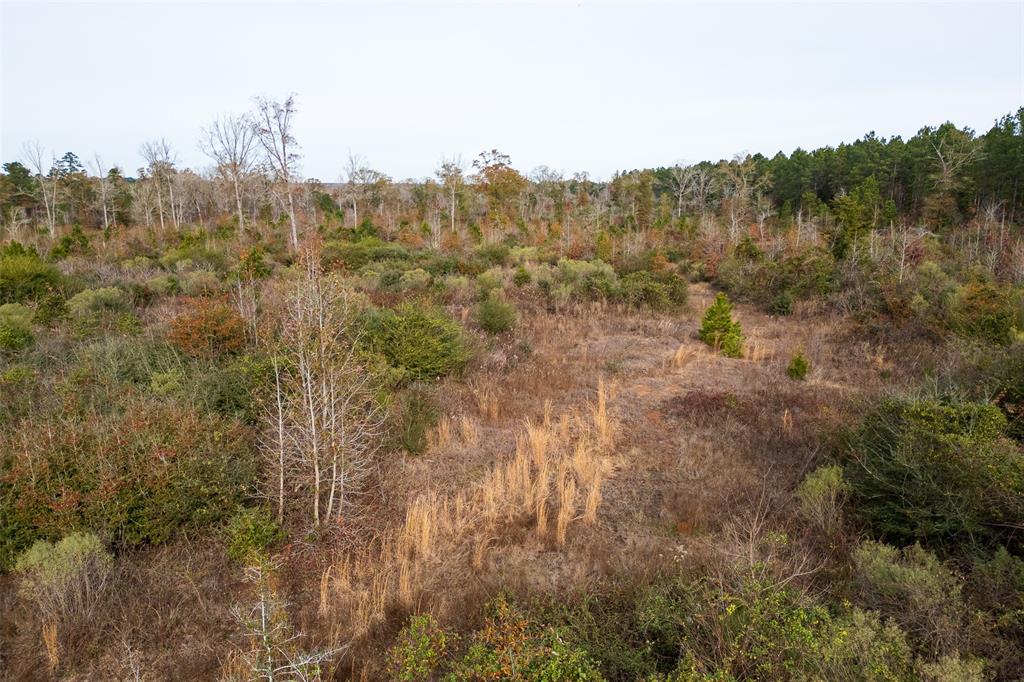 0 State Highway Nacogdoches, TX 75964 - Photo 14 of 20 a view of a city with lush green forest