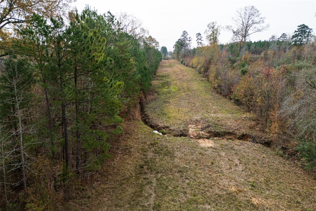 0 State Highway Nacogdoches, TX 75964 - Photo 17 of 20 a view of a forest with a trees