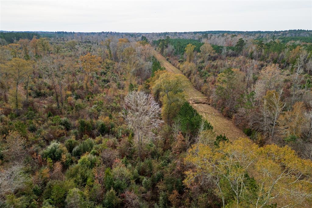 0 State Highway Nacogdoches, TX 75964 - Photo 2 of 20 a view of a forest with trees in the background