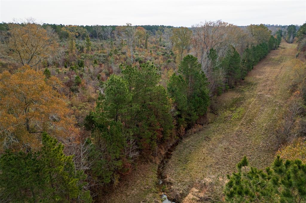 0 State Highway Nacogdoches, TX 75964 - Photo 3 of 20 a view of a dry yard with green space
