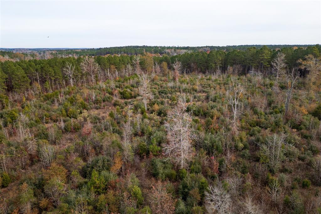 0 State Highway Nacogdoches, TX 75964 - Photo 5 of 20 a view of lake with green space