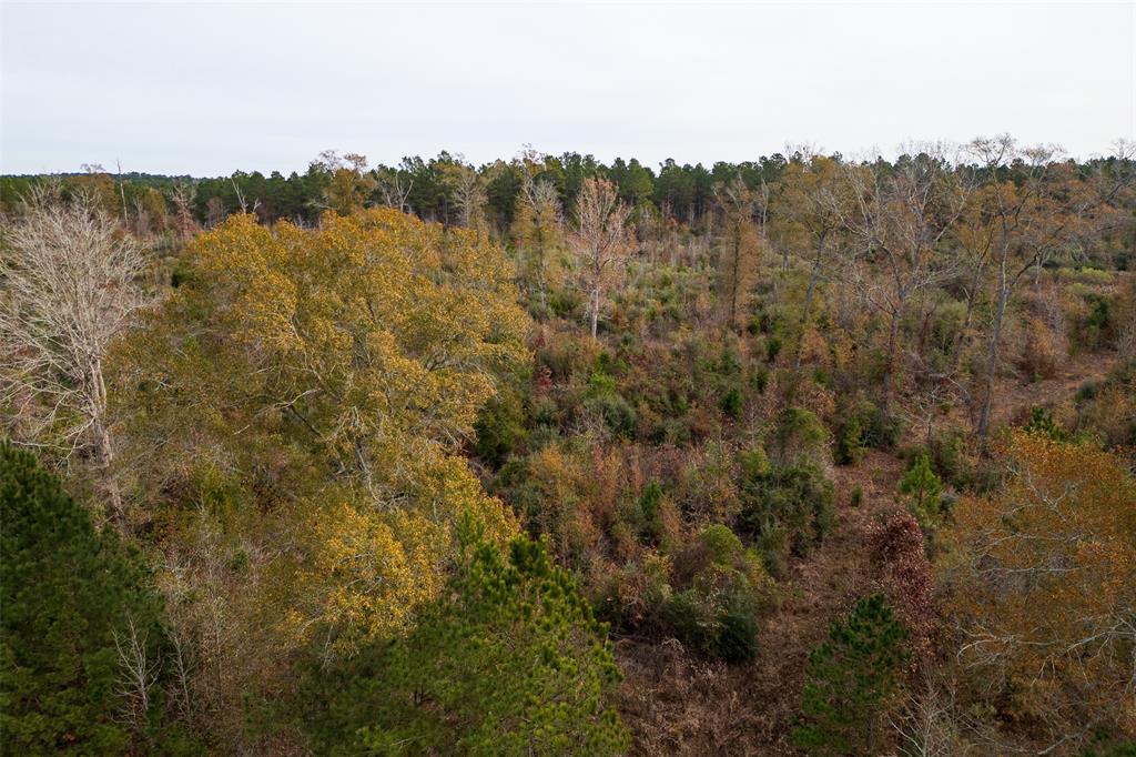 0 State Highway Nacogdoches, TX 75964 - Photo 6 of 20 a view of mountain with lake view