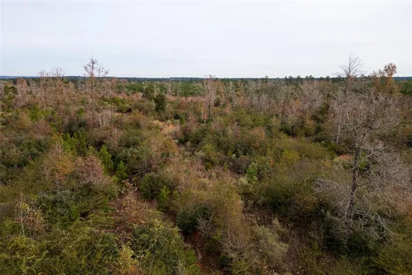 a view of a lake and green valley