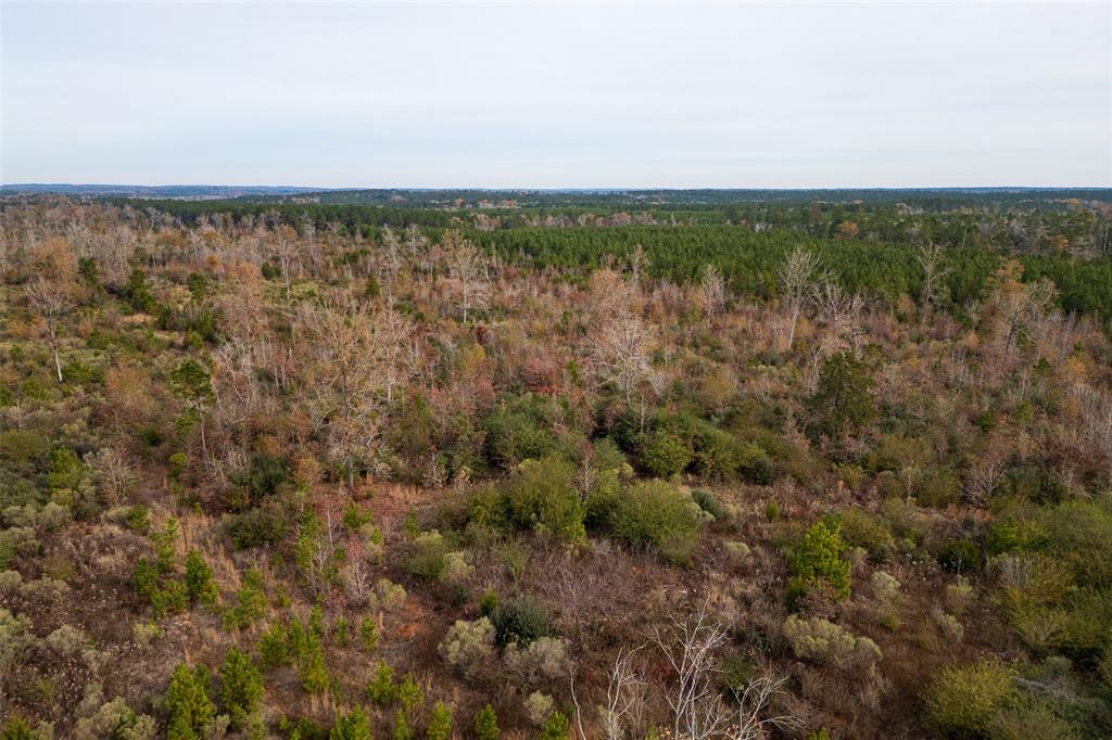 0 State Highway Nacogdoches, TX 75964 - Photo 10 of 20 an aerial view of residential houses with outdoor space and trees