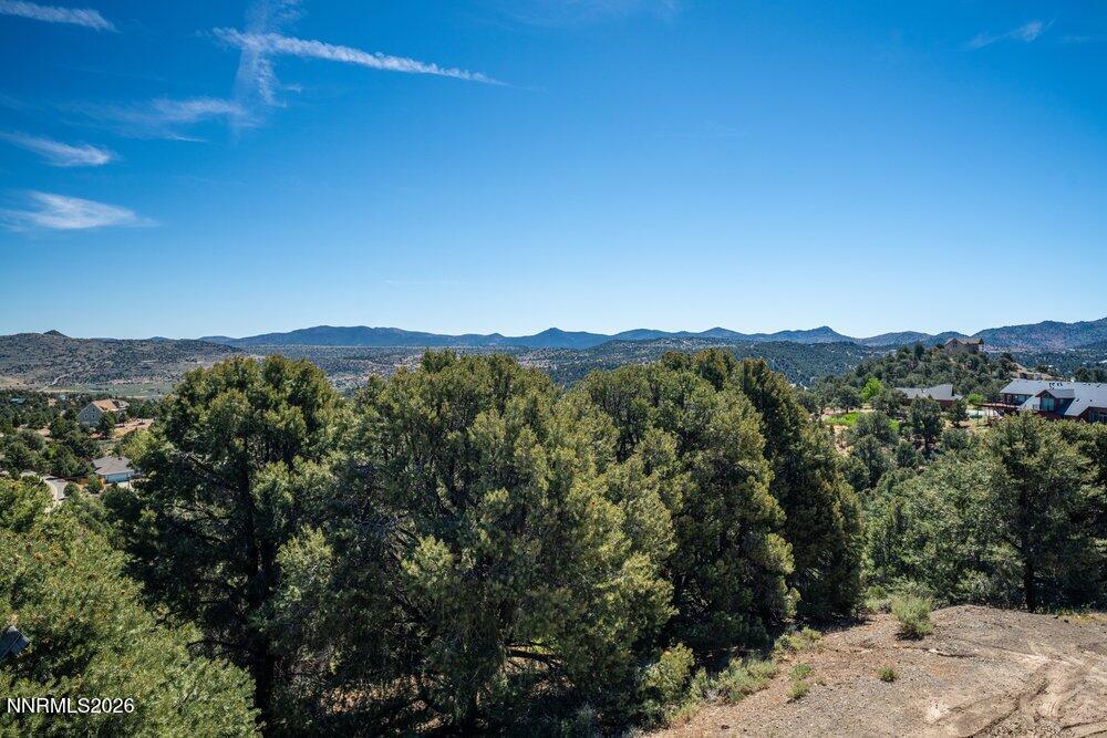 2255 Sutro Drive Reno, NV 89521 - Photo 31 of 32 view5