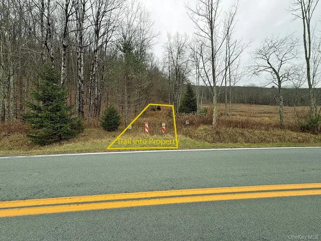 $449,000 | 292 County Road 93, Fremont Center, NY 12736