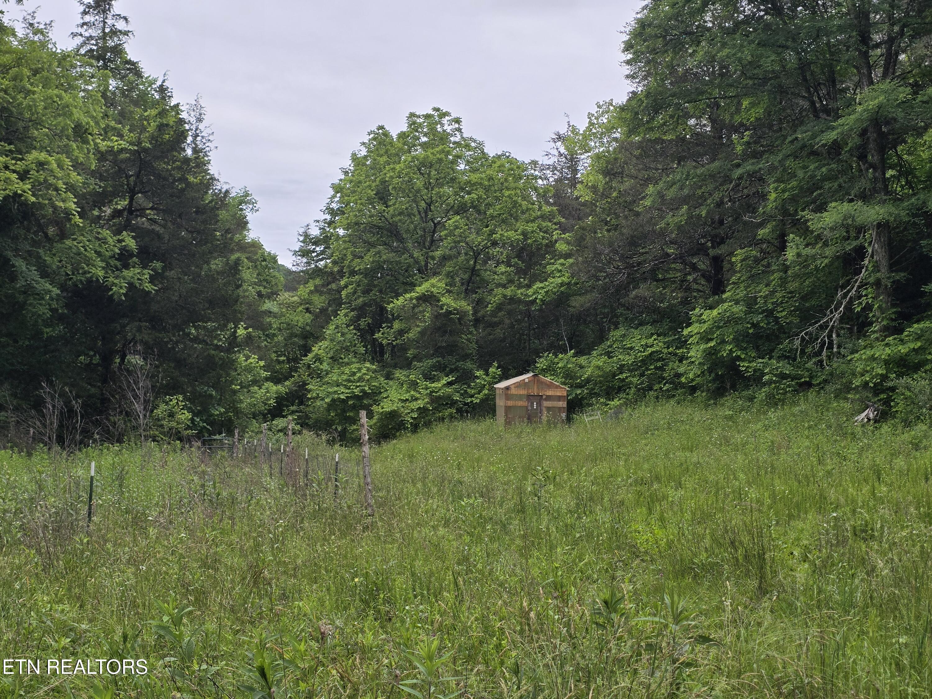 2615 Stoney Fork Road Sneedville, TN 37869 - Photo 47 of 60 20260525_193714