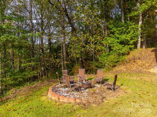 a view of a garden with plants and large trees