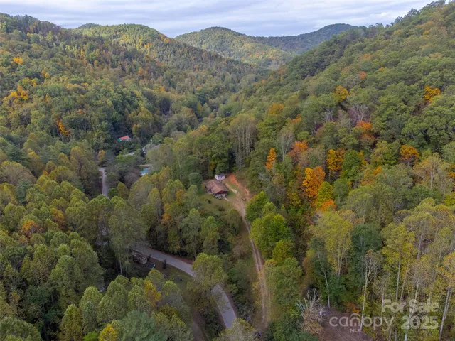 a view of a forest with mountains in the background