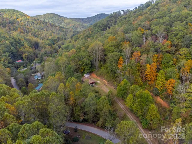 a view of a forest with a yard