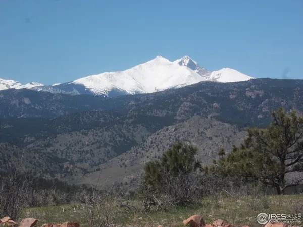 a view of a dry yard with mountains in the background