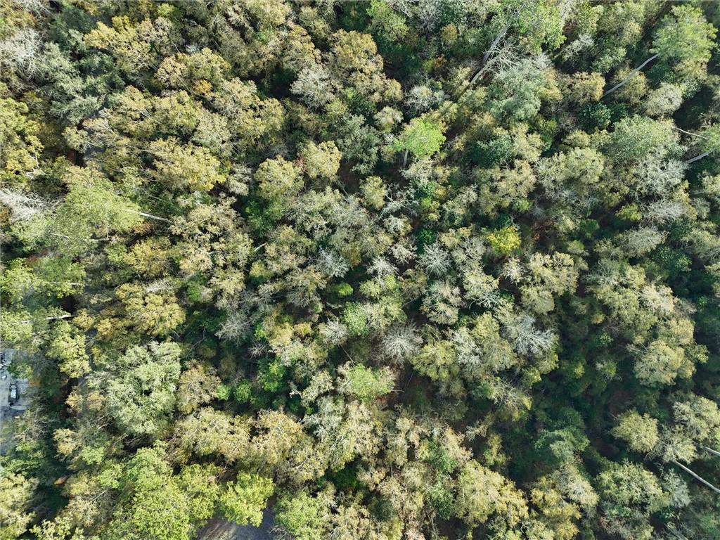 3 Wilson Road Covington, LA 70435 - Photo 3 of 9