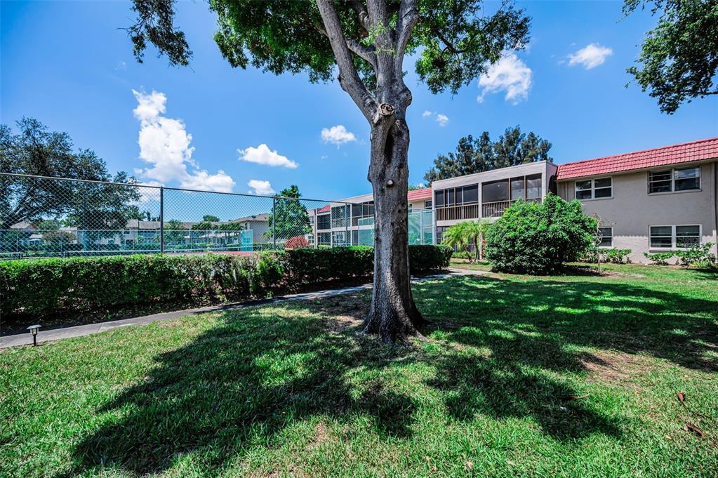9700 Starkey Road, Unit 228 Seminole, FL 33777 - Photo 29 of 49