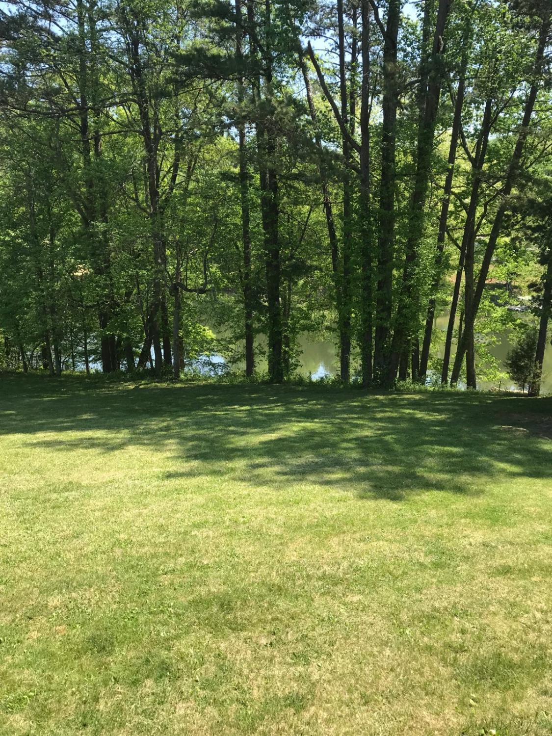 155 Blue Ridge Road Speedwell, TN 37870 - Photo 5 of 11 155 Blue Ridge New Yard Lake