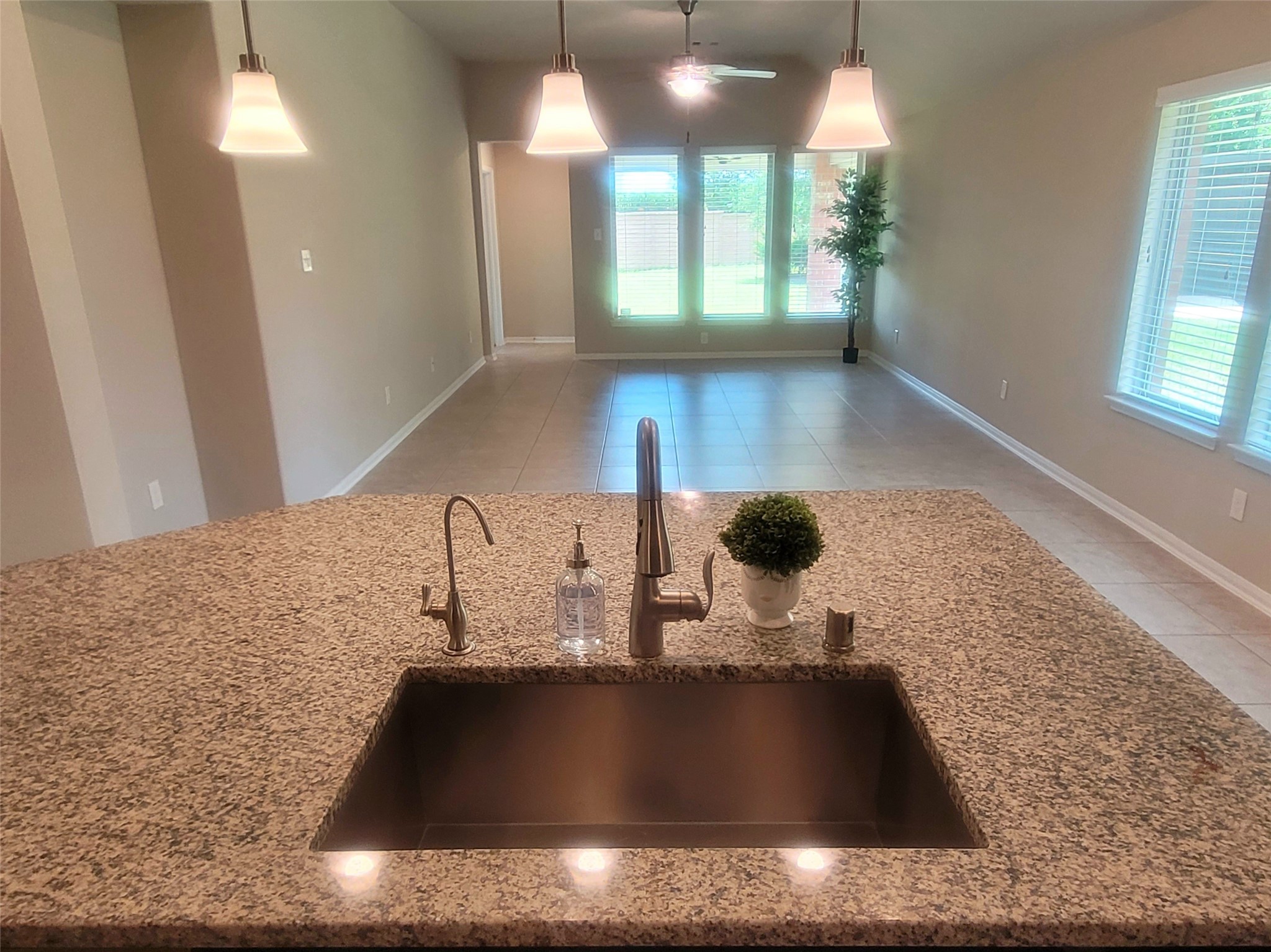 10659 Dolce Lane Rosharon, TX 77583 - Photo 11 of 32 Farm sink