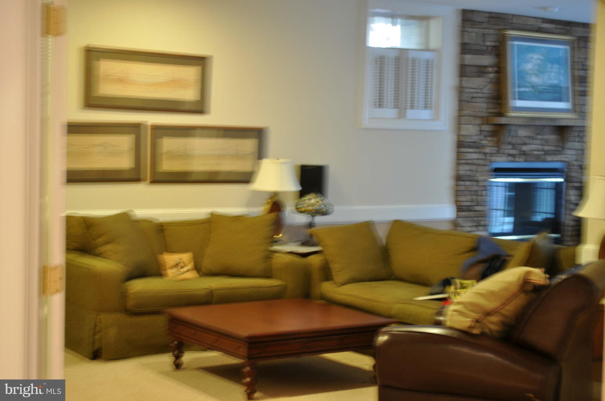307 Dry Mill Road Southwest Leesburg, VA 20175 - Photo 7 of 7 Basement