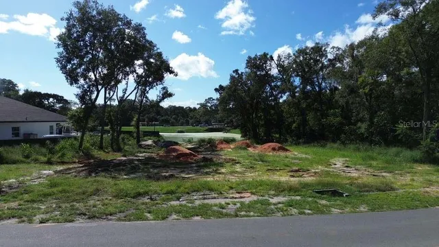 a backyard of a house with lots of green space
